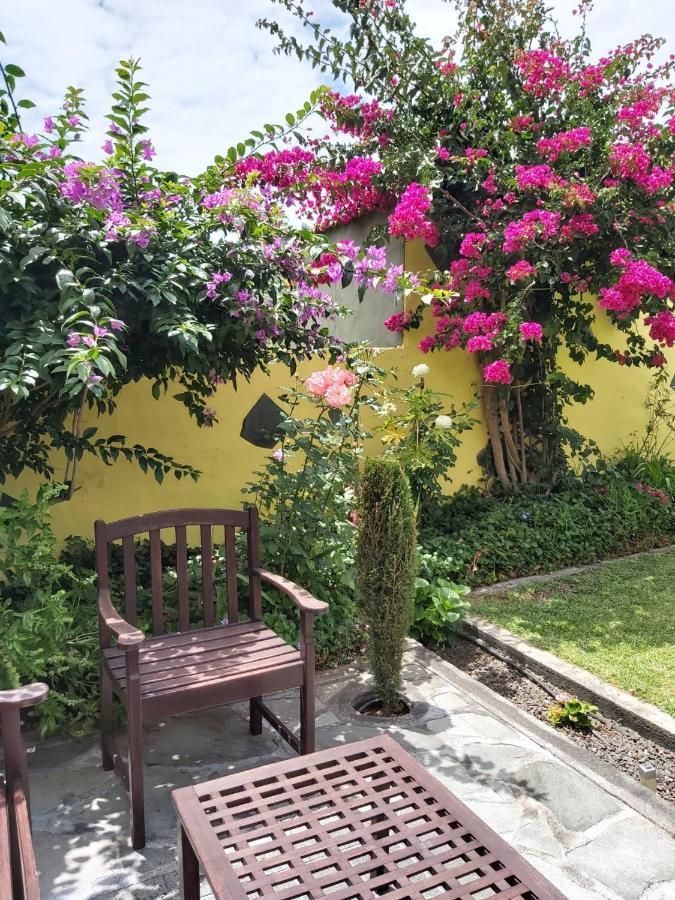 Mi Jardin Villa Frontera Eksteriør billede