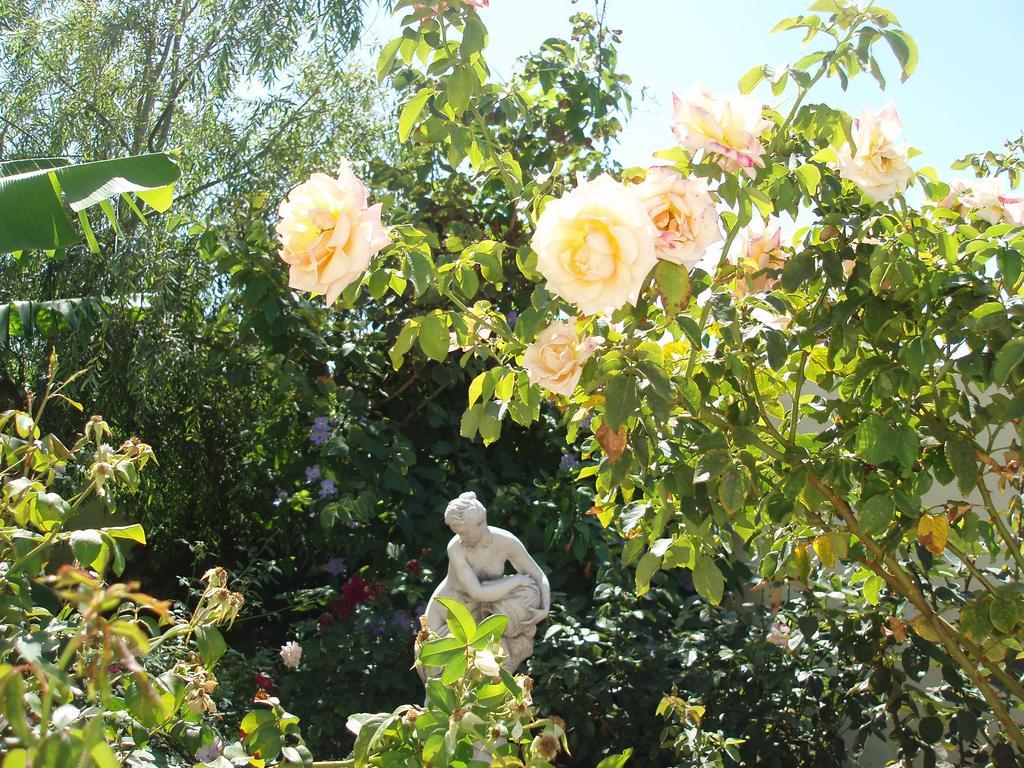 Mi Jardin Villa Frontera Eksteriør billede